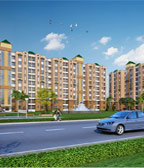 Infrastructure & Real Estate Development